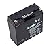 Briggs & Stratton 193043GS Battery Replaces 193463