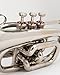 QUEENBRASS Pocket Trumpet in Bb Pitch – Chrome Finish Brass Instrument with Mouthpiece & Case | Compact Design for Students, Beginners