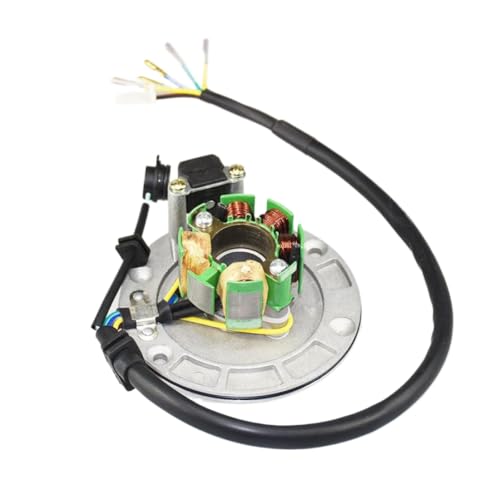 Rotor de stator magnéto W150 W155cc compatible Pit Bike ATV