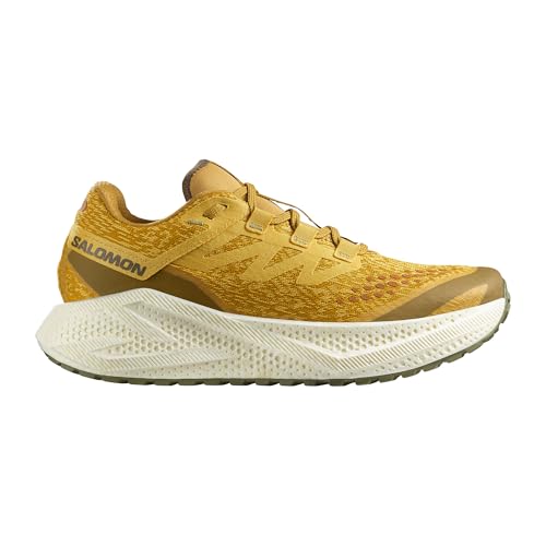 SALOMON(サロモン) AERO GLIDE 3 GRVL L47811800 L47812000 グラベルランニングシューズ メンズ