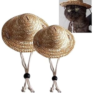   urban country home decor