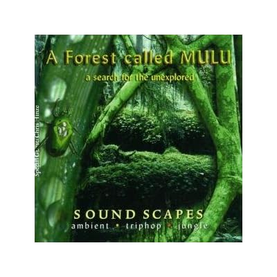 A Forest Called Mulu