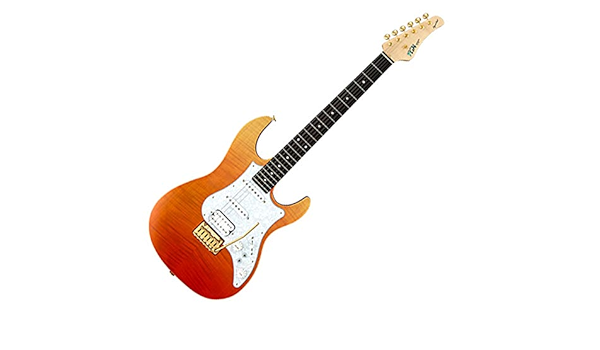 Amazon | FUJIGEN EOS-FM-R/RKG Expert Odyssey エレキギター