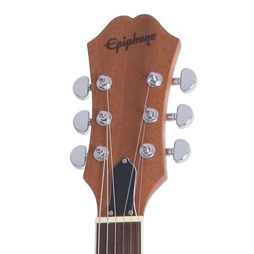 Epiphone ES-333 Tom Delonge Signature Archtop Electric Guitar 