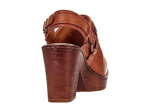 Born Hudson Brown 10 M (B) #TOP4