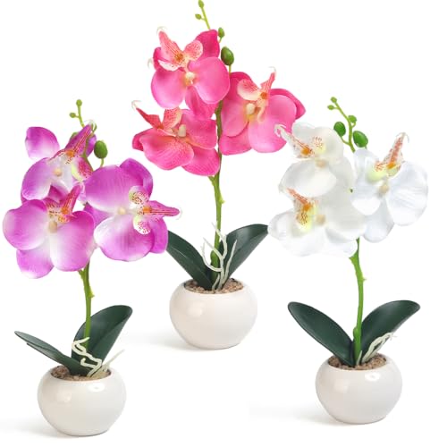 BEGONDIS Artificial Orchids Set in Ceramic Pots