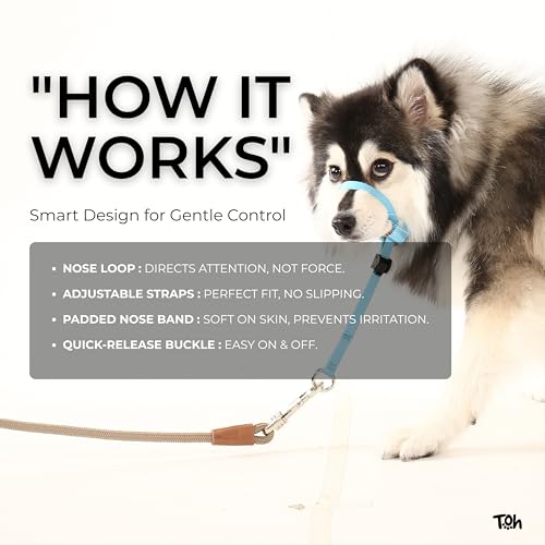 Coleira Cabresto P Azul