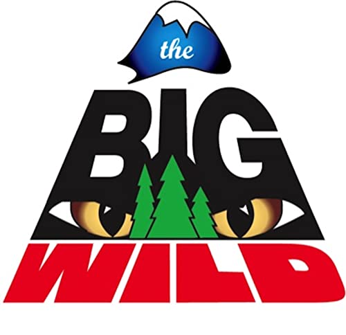 The Big Wild, Celebrating 17 Years on Air cover art
