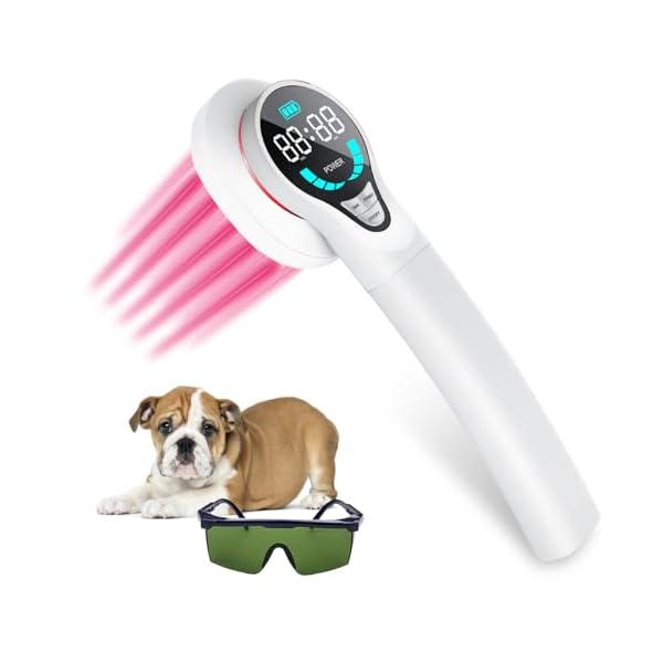 Cold Therapy Device for Dogs – Infrared Red Light Therapy Device with Goggles, Portable Therapy Device for Pain Relief Arthritis, Spinal and Promote Blood Circulation with Organizer Bag