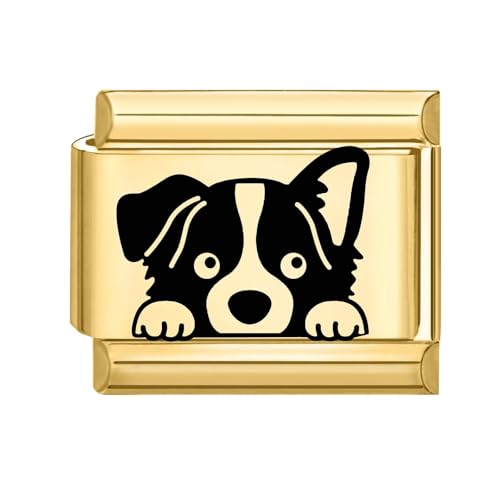 papasgix Italian Charms Gold Module für 9mm Italian Charm Bracelet DIY Katze Hund Italian Style Charms für Damen Abnehmbar Italienisches Charm Armband Mädchen Junge Geschenk Gold Border Collie