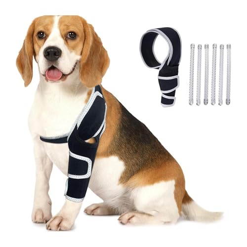 Genouillère pour chien rotulienne luxante et attelle de jambe arrière ajustable XL