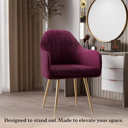 Image of Milano Velvet Comfort Dining Chair with Deep Cushion Seating, Strong Wooden Frame & Metal Support Legs for Dining, Living Room, Bedroom, Balcony & Office (Royal Maroon)