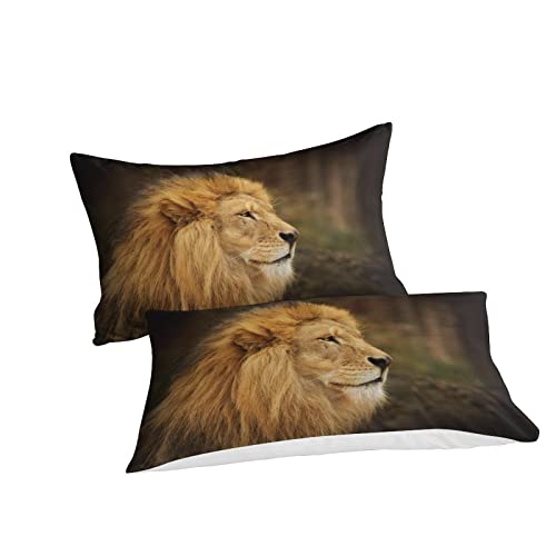 Housse de couette lion 3D à fermeture éclair invisible en taille 220x240cm