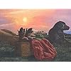   Dundee-Deco-DDAZBD9219-Peel-and-Stick-Wallpaper-Border-Nature-Orange-Green-Purple-Dogs-Wall-Border-Retro-Design-15-ft-x-7-in-457m-x-1778cm-Self-Adhesive