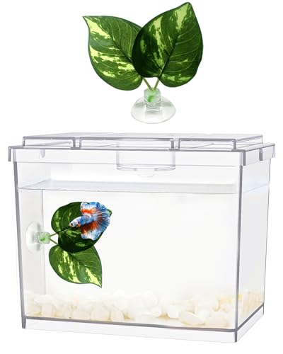 MoonOrange Mini Betta Fish Tank, Small Fish Bowl for Temporary Space, 0.2 Gallon Stackable Cube Tank with Betta Leaf and Gravels for Small Fish, Insect, Shrimp, Crab, Spider.(Pack-1)