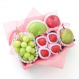 旬のフルーツギフトＡ アオキフルーツマイスター厳選 [いちご シャインマスカット メロゴールド りんご 洋梨] 果物ギフト 贈り物 御祝 御見舞 誕生日 内祝 入学祝 入社祝 プレゼント 御供 お供え 熨斗対応 のし対応 卒業祝 退職祝 RC (旬フルーツA)