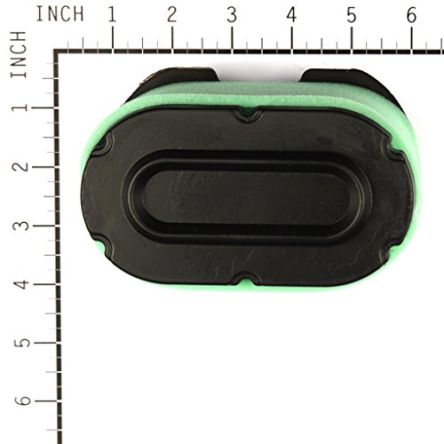 Briggs and Stratton 310195 Filter, Multi-Colour