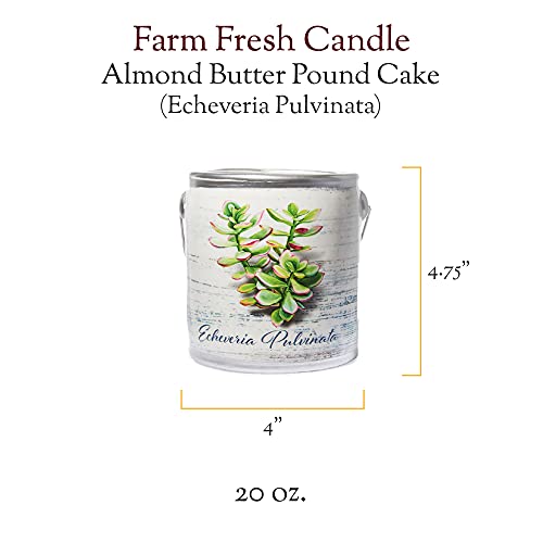A Cheerful Giver - Almond Butter - 20Oz Large Scented Candle Jar - Farm Fresh - 95 Hours Of Burn Time, Gift For Women, Green #TOP1