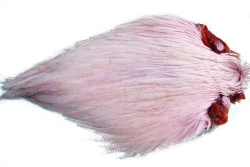 1 x Cou de Coq Indien - Rose pour Montage de Mouche de Peche