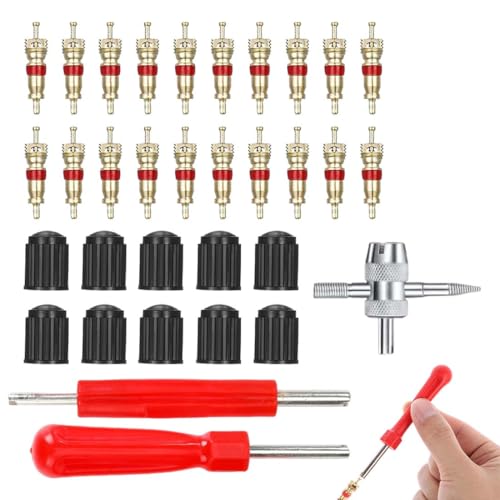 GNALIA Demonte Obus Valve 33 Pièces Rouge, Kit Complet Réparation Pneus Avec Extracteurs Double/Single Tête Et 20 Obus Valve 9.5X1.8X1Cm