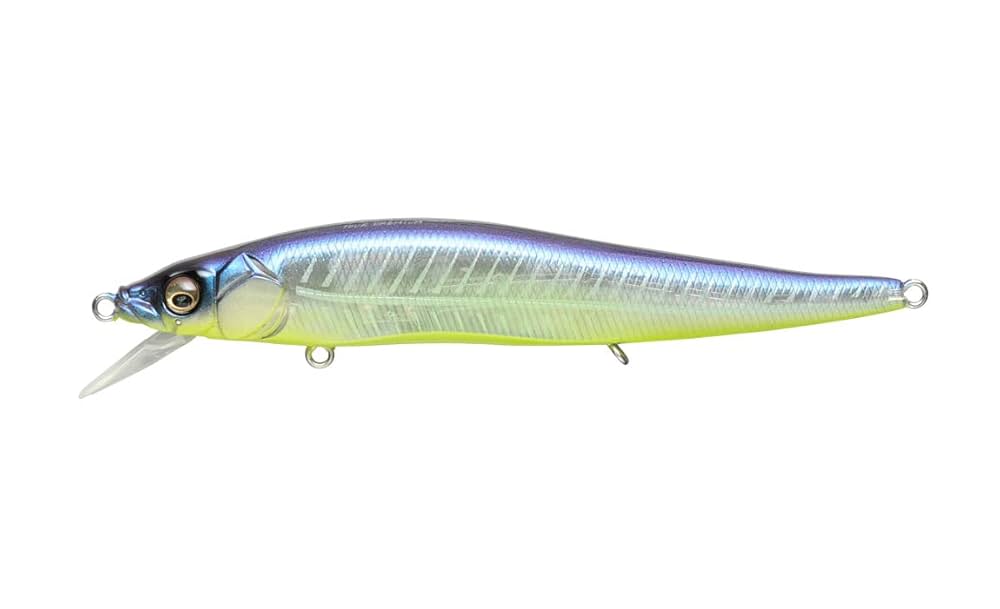 Amazon.com : MEGABASS ITO Vision 110 FX SUSPENDING JERKBAIT