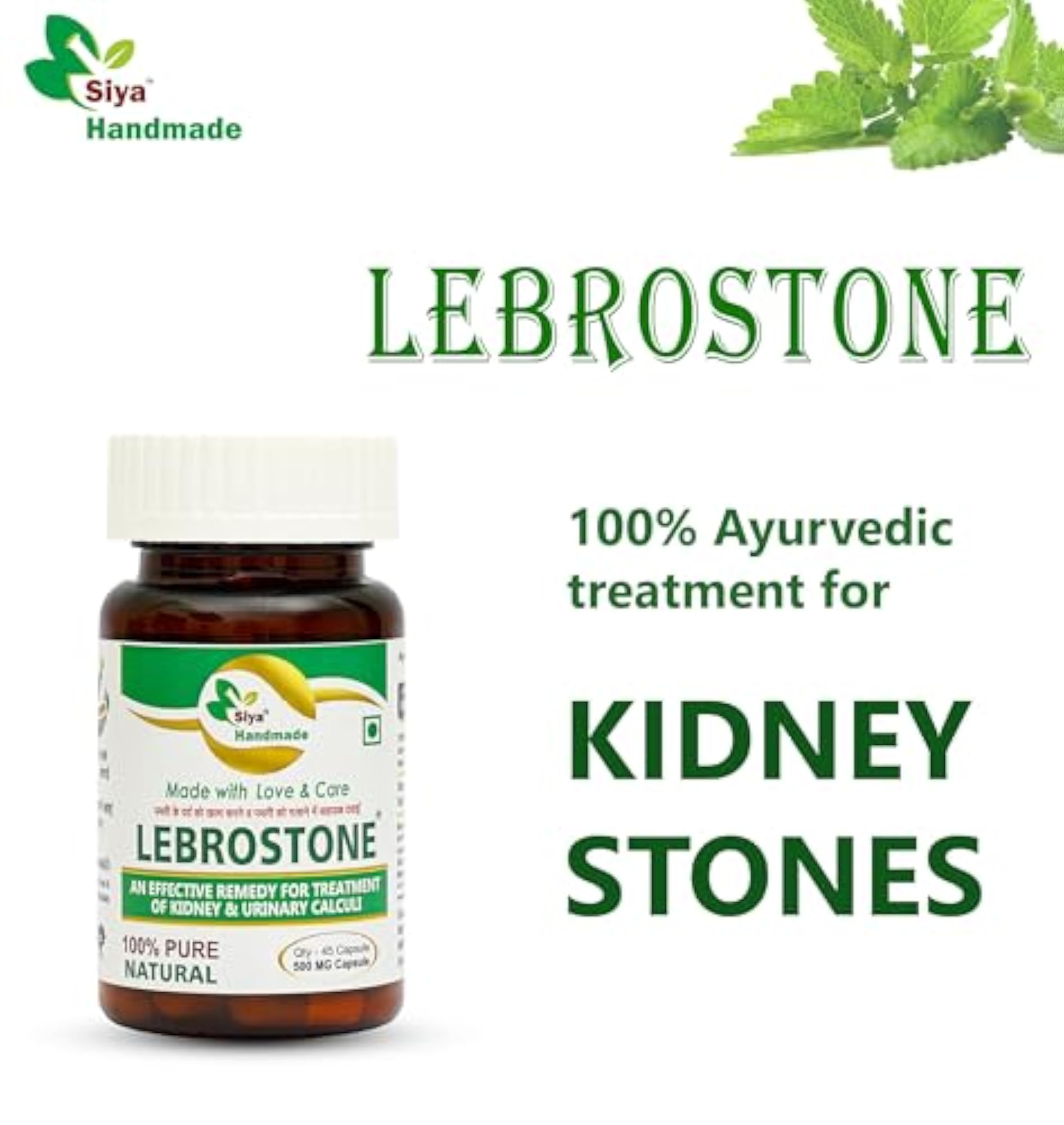 Siya Lebrostone 45 Capsules for Kidney Detox