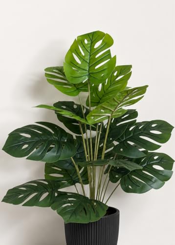 Image of Cocco.BUA Artificial Plant with Black Pot, 18 Leaves, 76 CM (2.5 Feet) (Monstera Plant)