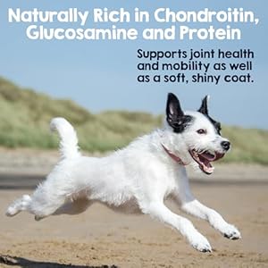 Rileys Turkey Tendons for Dogs Dehydrated Turkey Dog Treats Made in USA Single Ingredient Dog Treat Turkey Tendons for Small Dogs Large Dogs Easily Digestible for Dental Health 8 oz