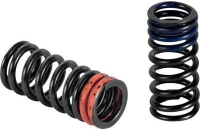 Technologies Exhaust Valve Springs
