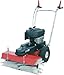 Produktbild Kehrmaschine Limpar 67