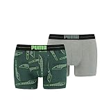 PUMA Mens Formstrip All Over Print Boxer Briefs 2er pack, Green Combo, M