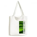 DIYthinker Banana Leaf pianta Immagine Natura Borsa della Spesa della Tela Borsa Arte Lavabile 33cm x 40 cm (13 Pollici x 16 Pollici) Multicolore