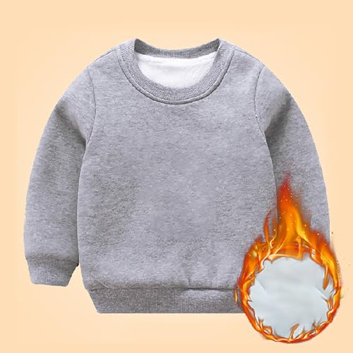 Boys and Toddlers' Crewneck Sweatshirt Thick Fleece Warm Teen Girl Clothes Casual Basic Solid Color Pullover Fall Winter Tops2