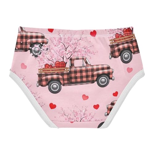 Plaid Truck Hearts Pink Floral Toddlers Underwear Floral 2t Cotton Cute Panties Girl Fun Kids Briefs Undies2