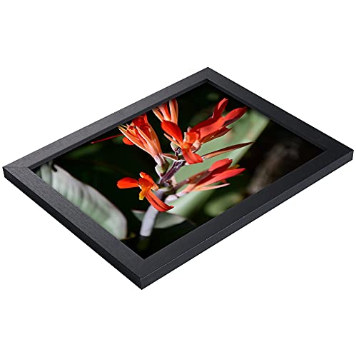 Uzifa 11X14 Picture Frame Photo Frame Picture Frames 11X14 - Wood Non Glass Without Mat For Display Certificate/Photo/Picture For Wall Mount Wooden Frames- W51114G Black #TOP3