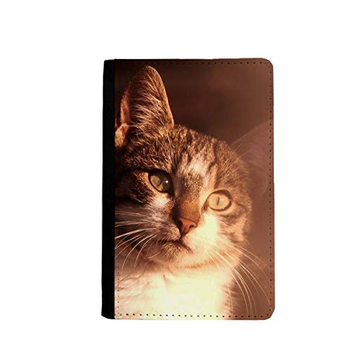 Étui portefeuille de voyage chat protégeant votre passeport des pliures