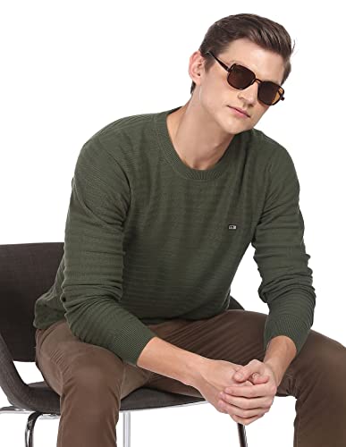 Image of Arrow Mens Cotton Round Neck Striped Regular Fit Sweater