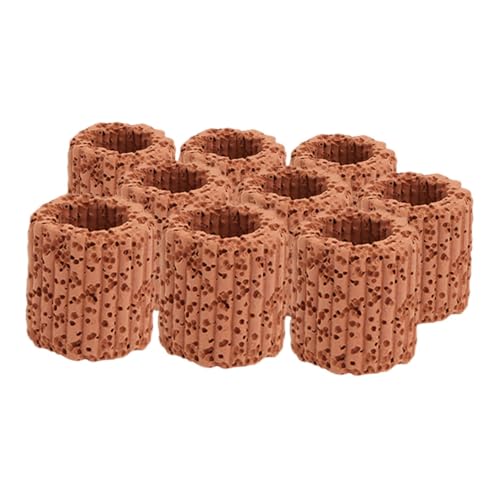 ifundom 9 Anillos De Filtro para Acuario Anillo Fijo para Plantas Acuáticas Suministros para Acuario