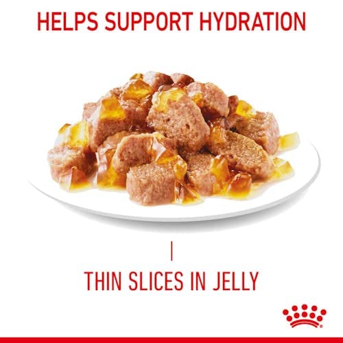 Royal Canin Hair & Skin Care Jelly | Doppelpack | 2 x 12 x 85 g | Alleinfuttermittel für Erwachsene Katzen | Stückchen in Gelee | Zur Unterstützung von Haut und Fell | Mit Omega-3