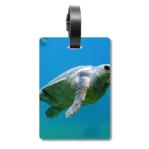 Étiquette de valise tortue ocean en finition premium pour sac de voyage