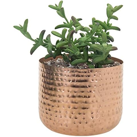 MyGift 6 Inch Copper Tone Metal Plant Pot with Hammered Design, Decorative Small Succulent Planter - Handcrafted in India Cover