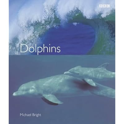 Dolphins