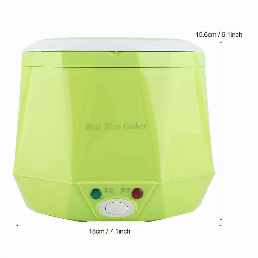 BigKing Arrocera Eléctrica Portátil Multifunción de 24 V, 140 W, 1,6 L para Camiones (Verde)