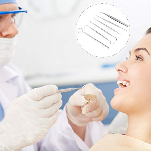 EXCEART Ferramenta Dental Picareta Dental Em AÃ§o InoxidÃ¡vel Fio Dental Conjunto de Ferramentas de