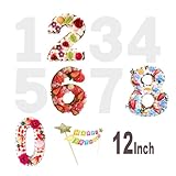 Beilunse 12 Inch Number Cake Pans 0-9 Large Cake Stencil Professional Birthday Number Mold for Birthday Wedding Anniversary Retirement Graduation Cake
