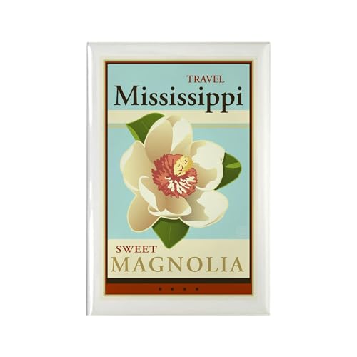 Imán decorativo rectangular CafePress 3x2 pulgadas miniatura 1