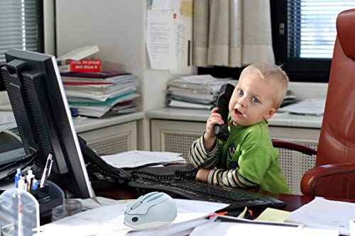 2.4Ghz Wireless Mouse Cute Hamster Shape Less Noice Portable Mobile Optical 1200Dpi Usb Mice Cordless Mouse For Pc Laptop Computer Notebook Macbook Kids Girl Gift (Blue) #TOP1