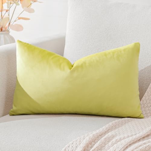 Artscope Luxury Velvet Cushion Covers Super Soft Decorative Rectangle Throw Pillow Covers Case Cushion Covers for Sofa Couch Bedroom Car Decor 40x60cm Lemon Yellow