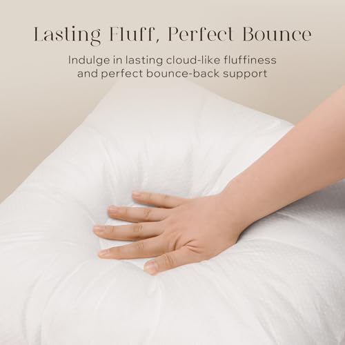 Phantoscope 18x18 Pillow Inserts, Throw Pillow Inserts for Couch, Pack of 1 - 1