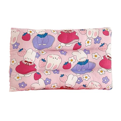 Cuscino Per Bambini, Cuscino Di Peluche Di Cartone Animato, 1 Pezzo, Sedia Del Divano Del Per Lancio Decorativo, Morbida Lettura Di Cuscini Per Bambini, Copertura Riutilizzabile, Per Pisolini